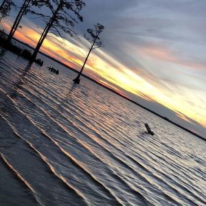 Meet your Posher, Travis